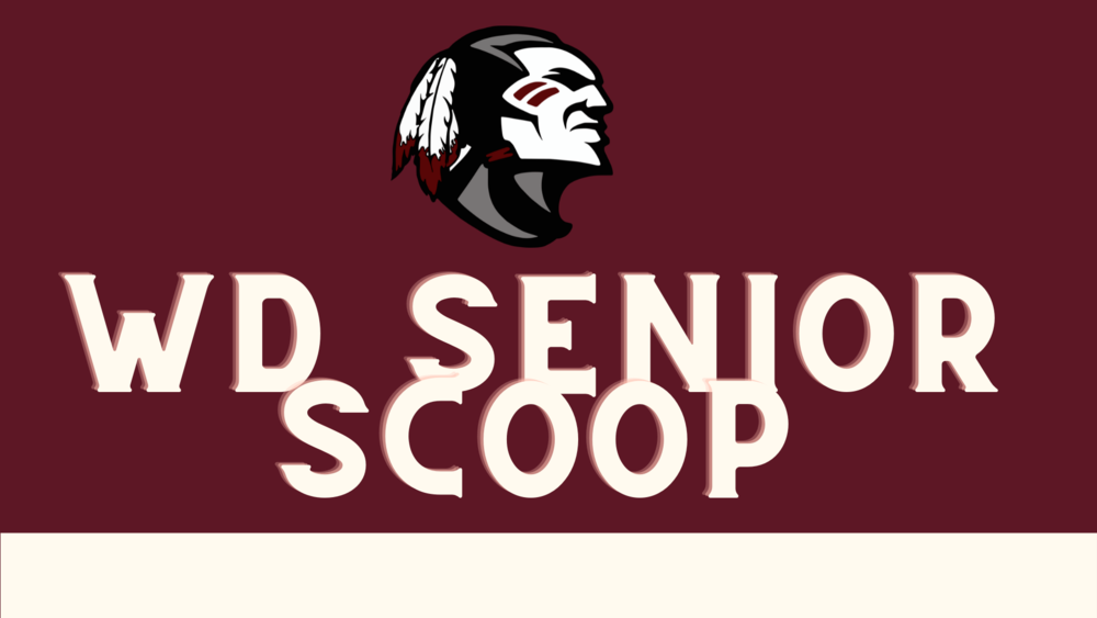 WD Senior Scoop 